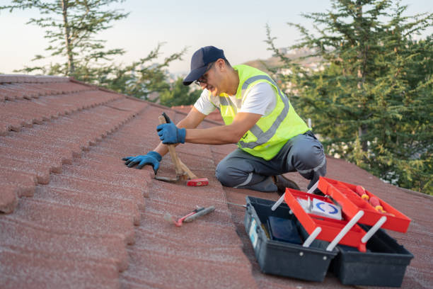 Best Roof Gutter Cleaning  in Simpsonville, KY